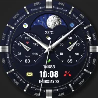 WFP 309 Elegant watch face